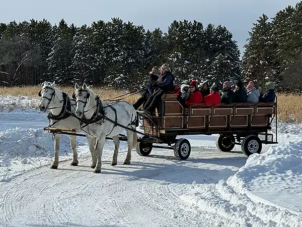 Home for the Holidays